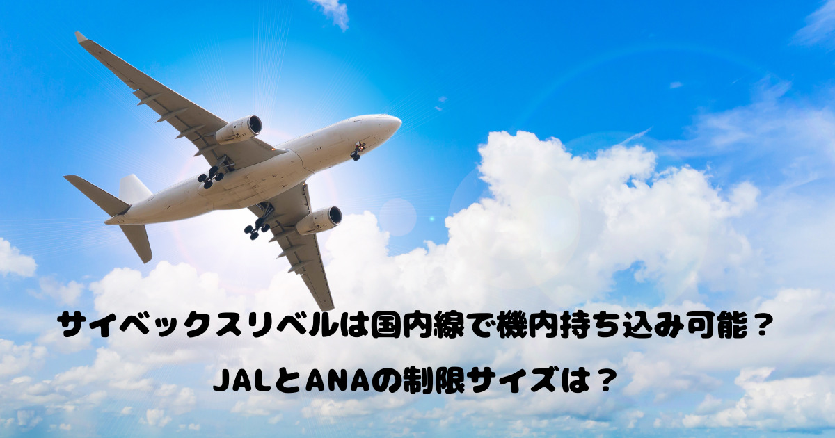 サイベックスリベルは国内線で機内持ち込み可能？JALとANAの制限サイズは？